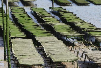 Le traitement et la purification de l’eau de mer : une solution pour l’aquaculture et la pêche